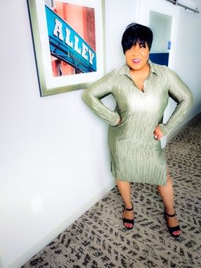 Janette Plus Pleated Stretch Shirt‎ Dress Silver Olive (metallic undertone)